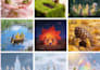 turn your inspiration into a cohesive visual story